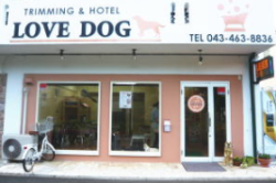 ペット・トライアングル LOVEDOG店