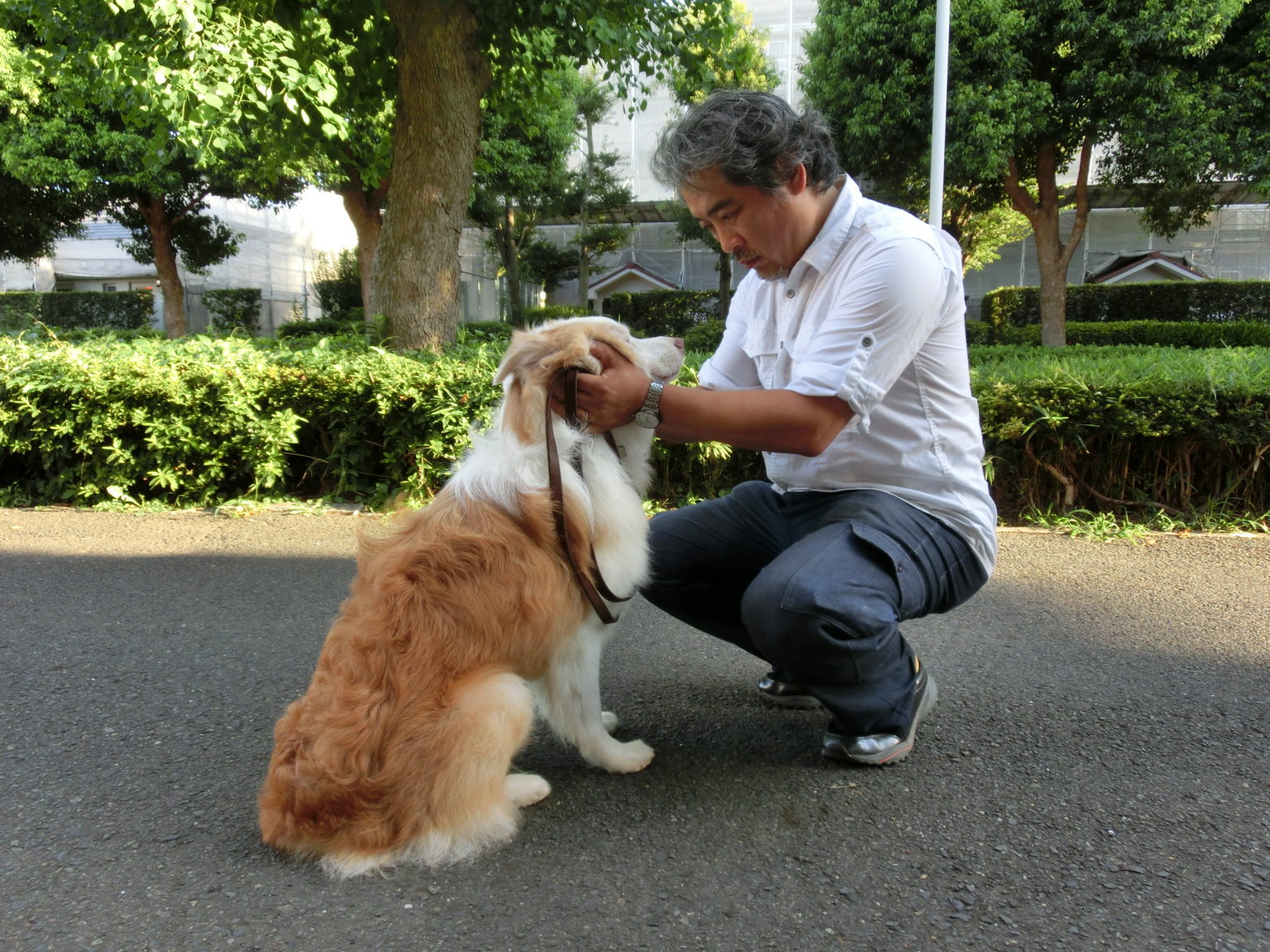 犬の問題行動ー対処の前にやるべきこと ペット・トライアングル