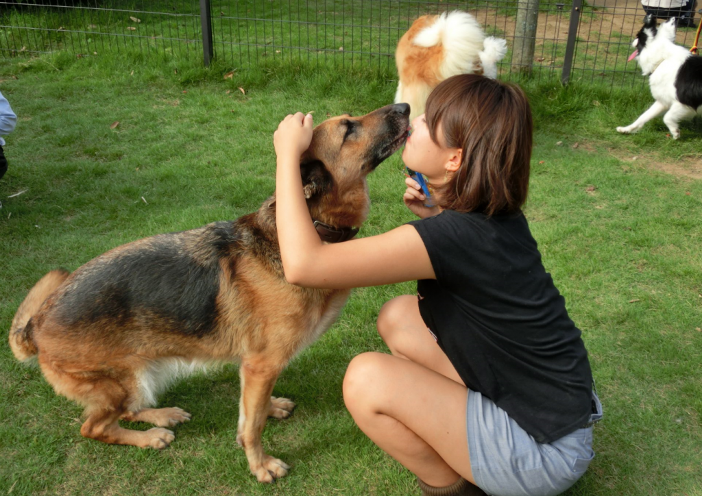 犬には人間の気持ちを察する能力がある！