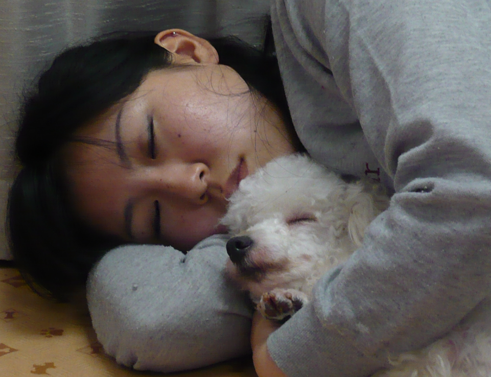 愛犬と一緒に寝ると良い睡眠になる ペット トライアングル