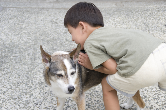 日本で人気の犬の名前ランキング